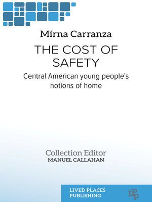 cover image of The Cost of Safety